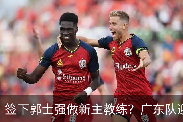 签下郭士强做新主教练？广东队迎来换帅机会，杜锋有望执教国家队